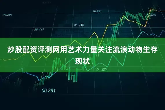 炒股配资评测网用艺术力量关注流浪动物生存现状