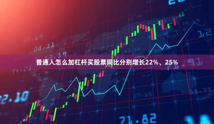普通人怎么加杠杆买股票同比分别增长22%、25%